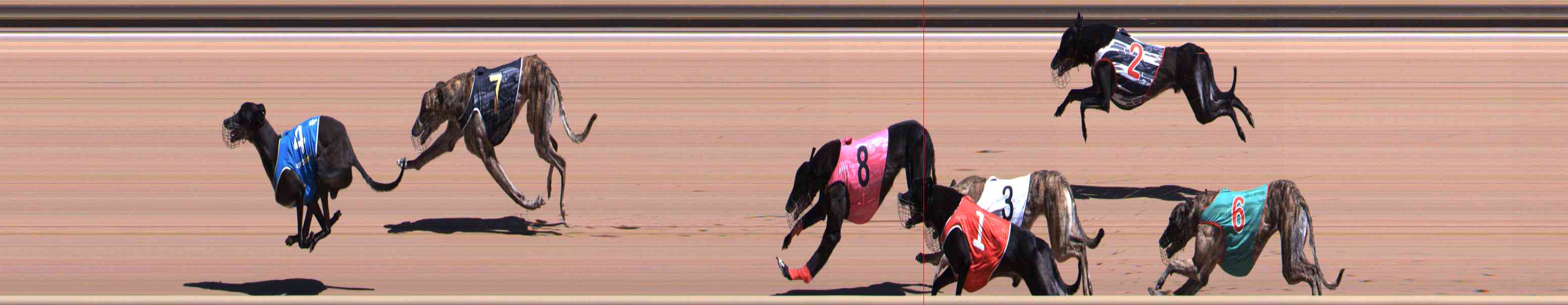 Photo finish for Healesville Race 5