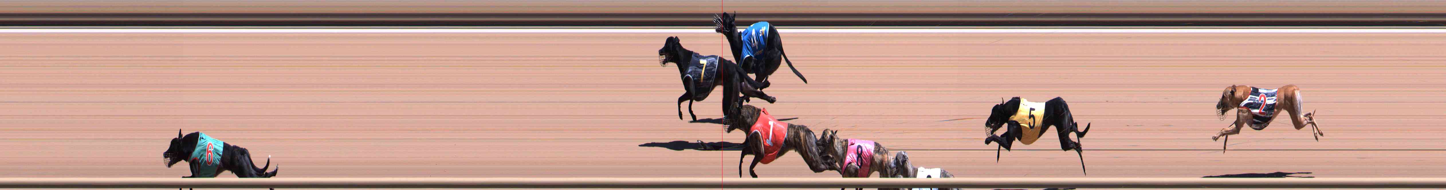 Photo finish for Healesville Race 6