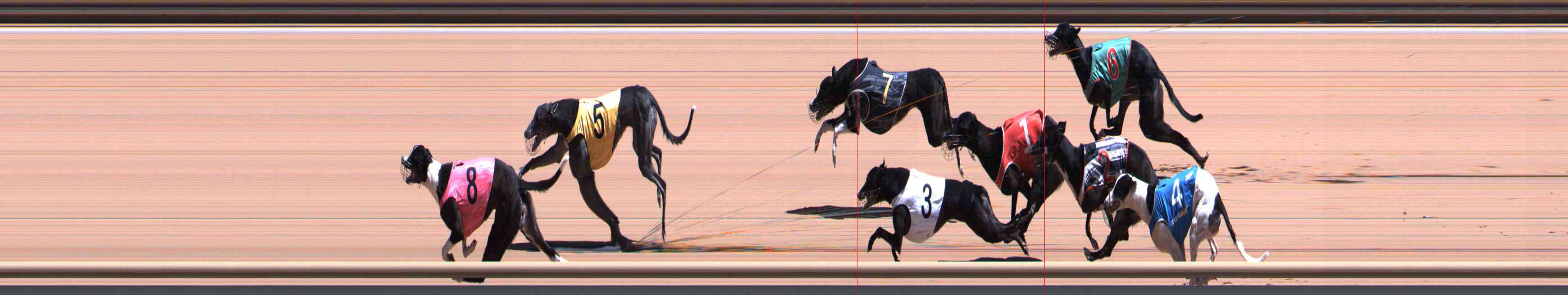 Photo finish for Healesville Race 7