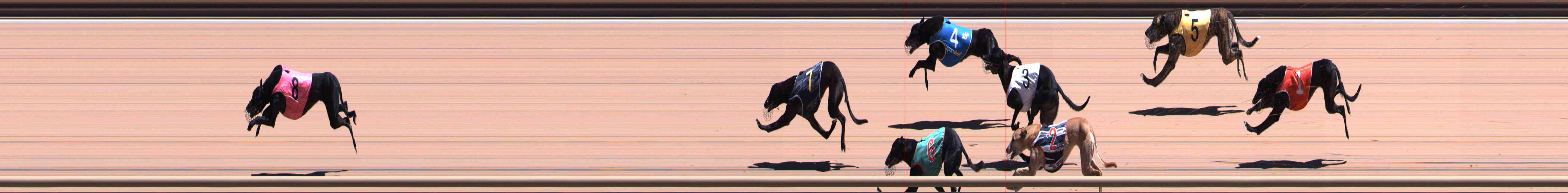 Photo finish for Healesville Race 8