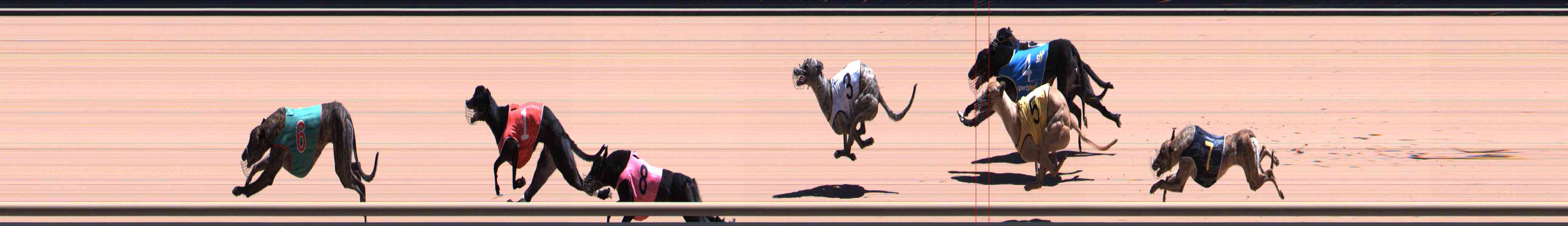 Photo finish for Healesville Race 10