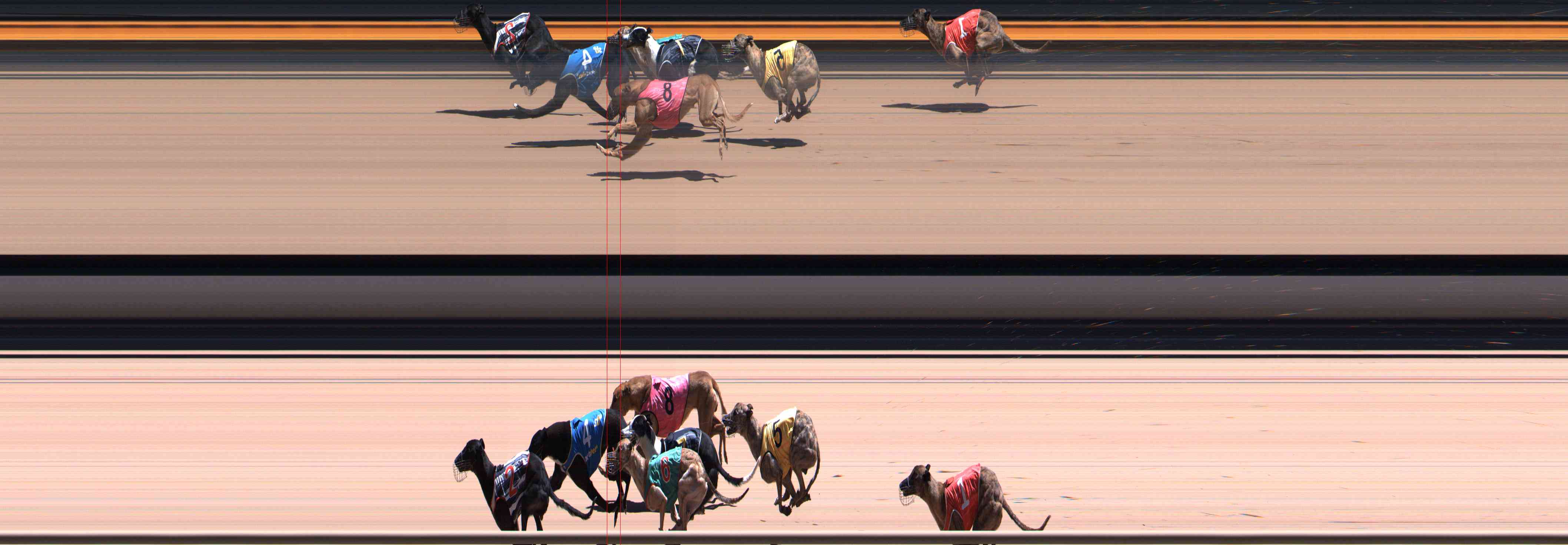 Photo finish for Healesville Race 11