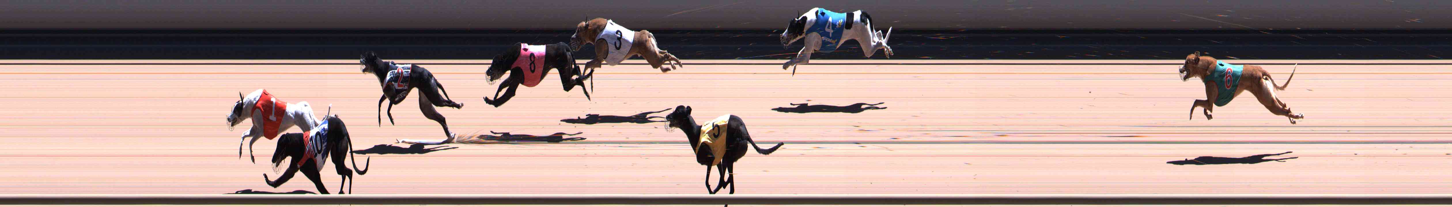 Photo finish for Healesville Race 12