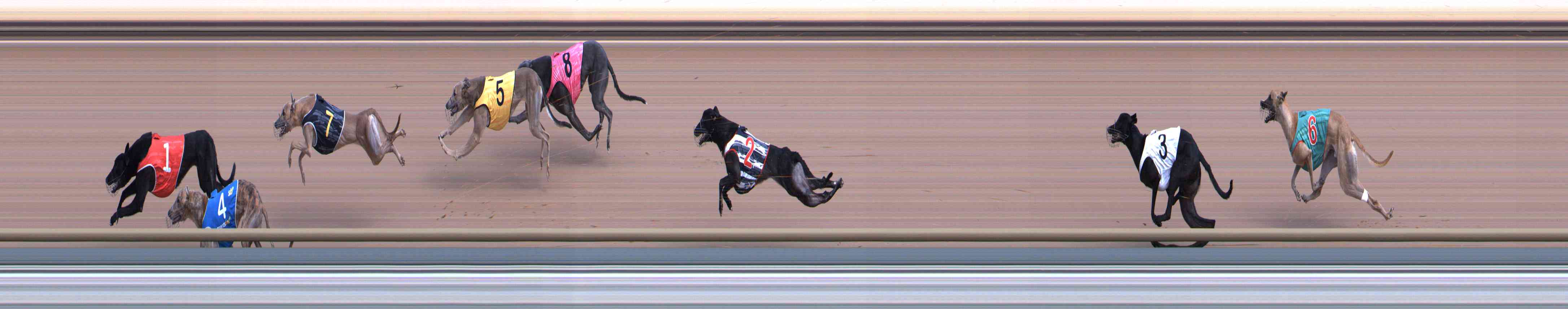 Photo finish for Healesville Race 2