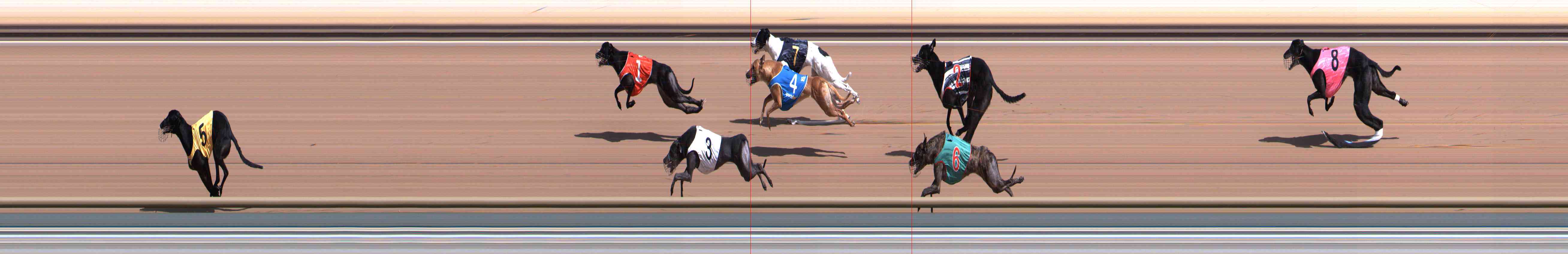 Photo finish for Healesville Race 3