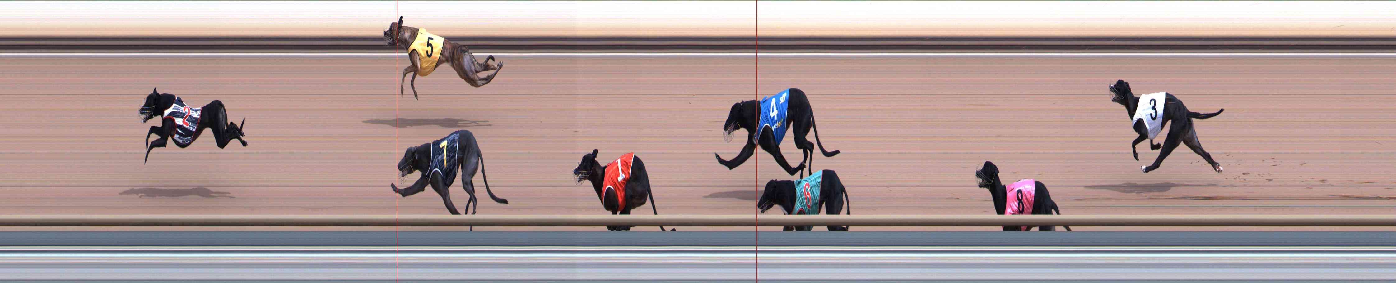 Photo finish for Healesville Race 4