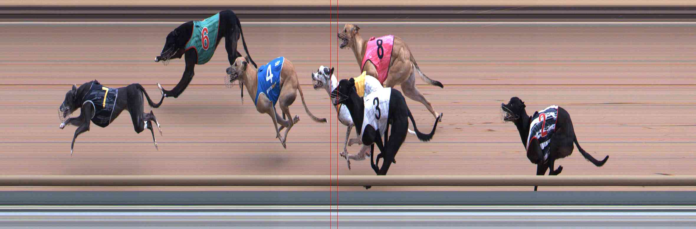 Photo finish for Healesville Race 5