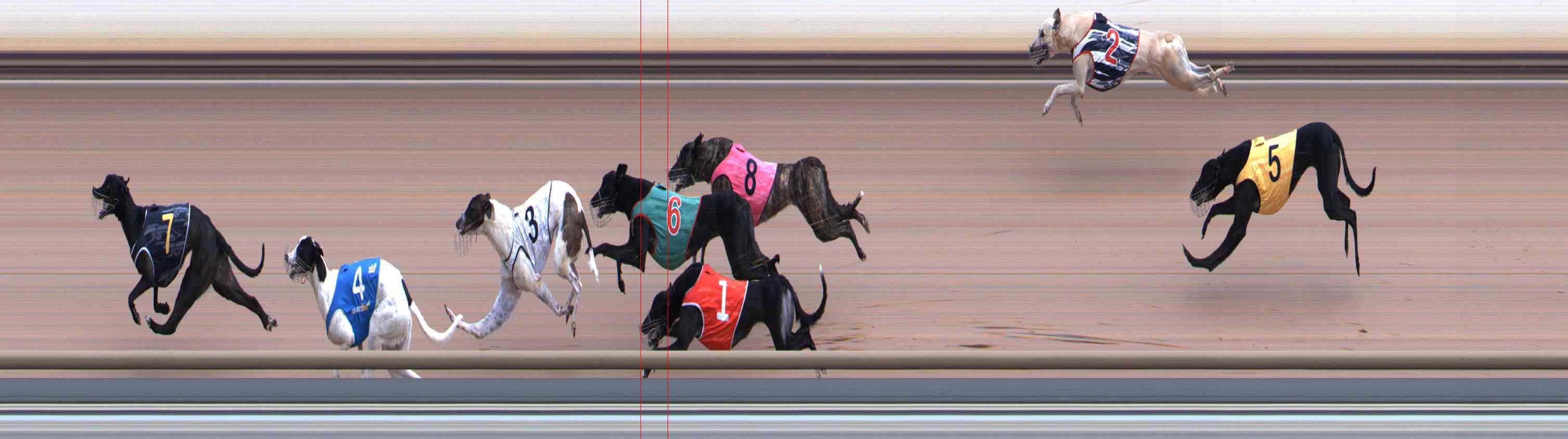 Photo finish for Healesville Race 6