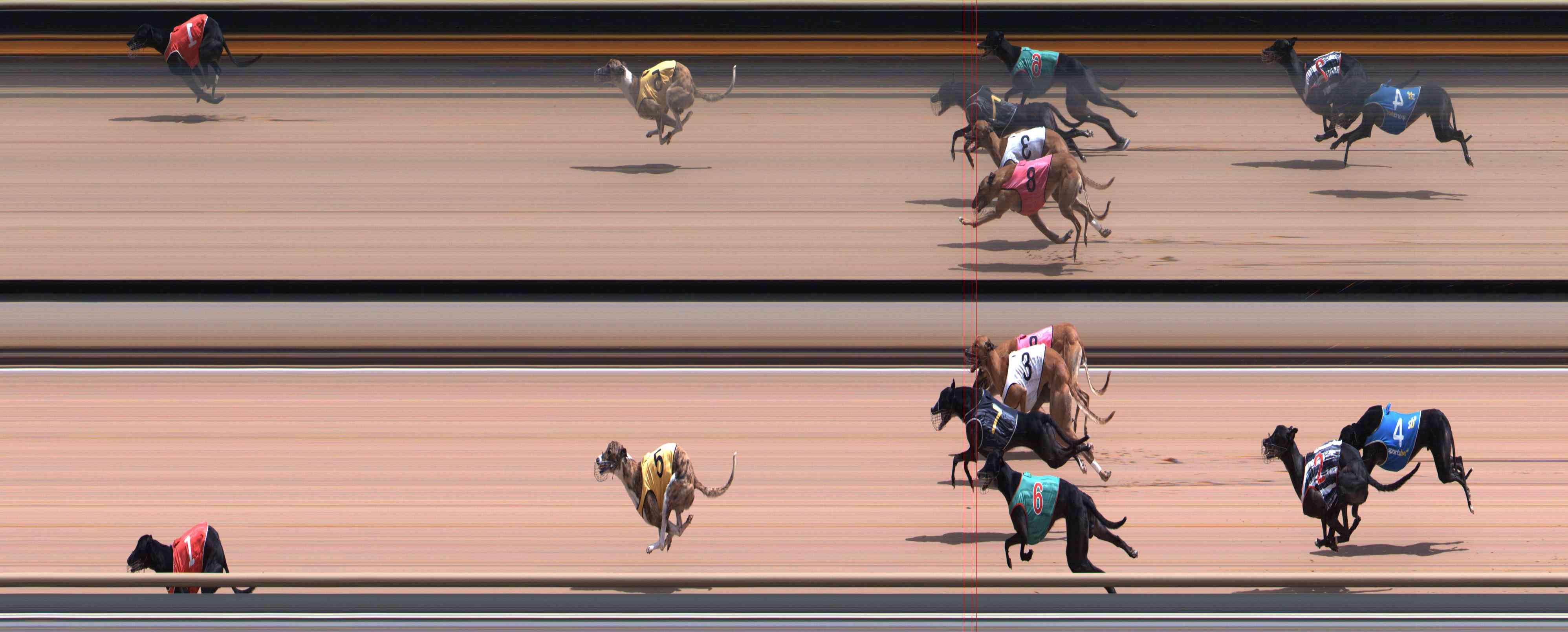 Photo finish for Healesville Race 7