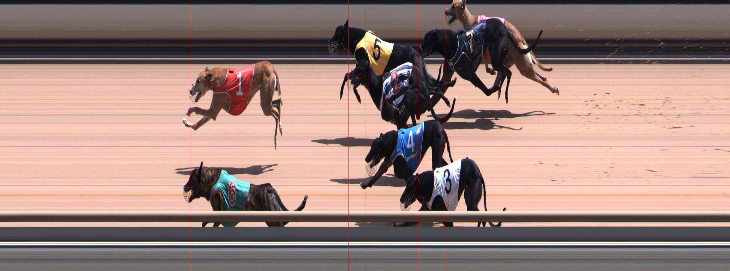 Photo finish for Healesville Race 9