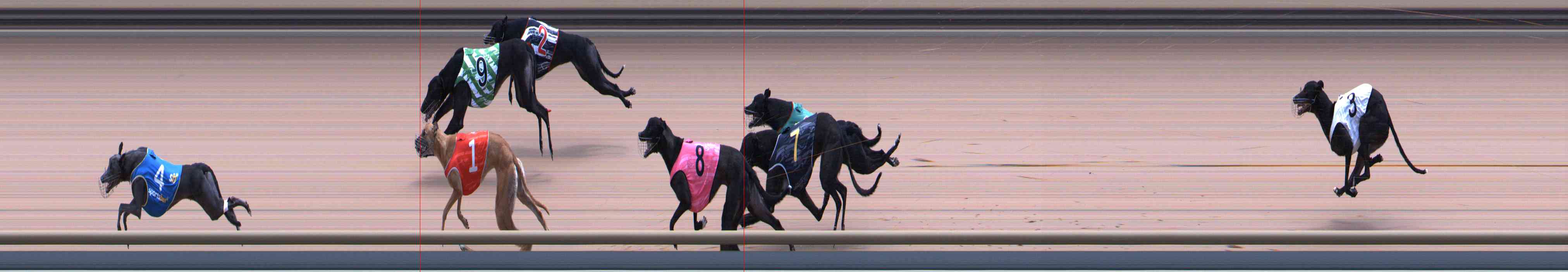 Photo finish for Healesville Race 10