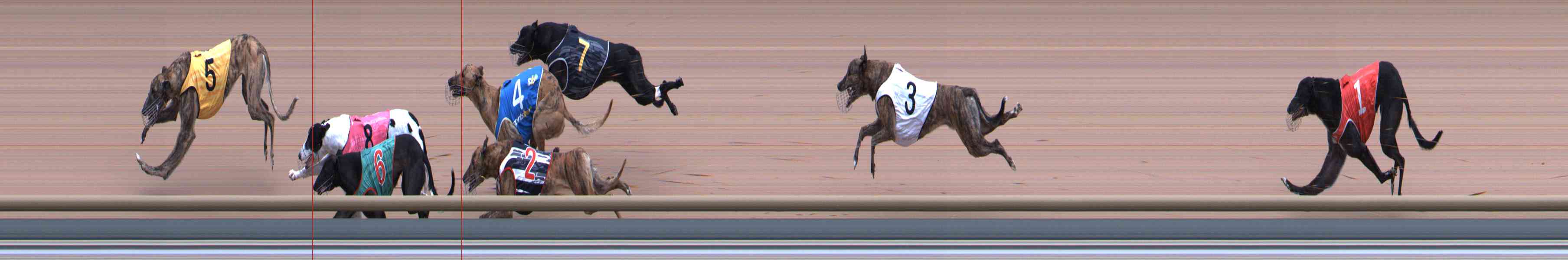 Photo finish for Healesville Race 11