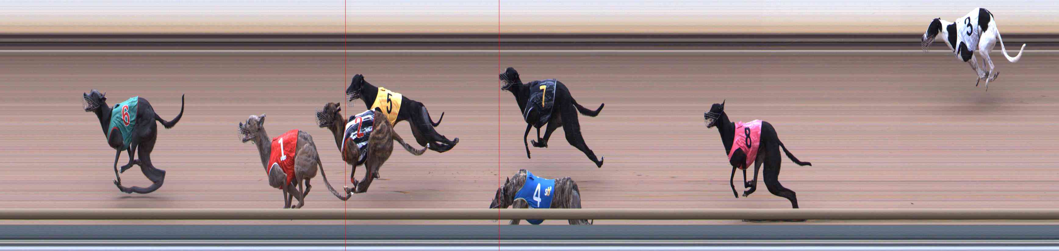 Photo finish for Healesville Race 12