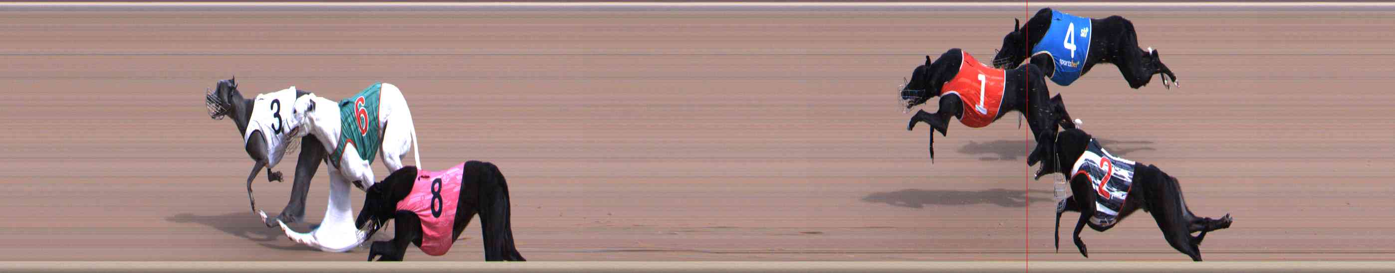 Photo finish for Healesville Race 2