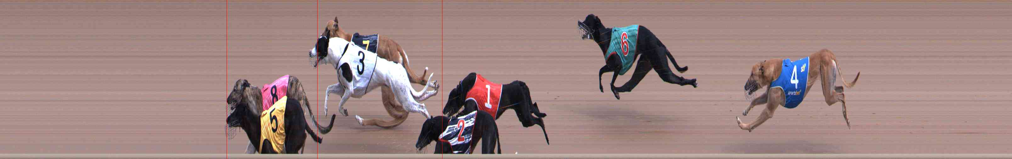 Photo finish for Healesville Race 3