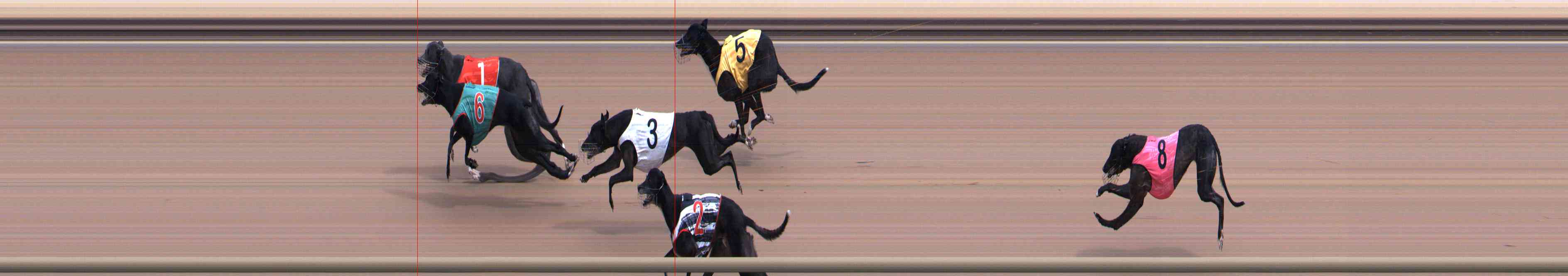 Photo finish for Healesville Race 4