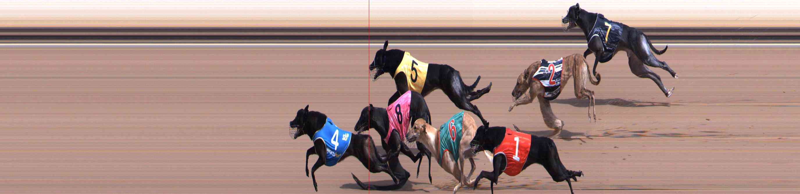 Photo finish for Healesville Race 5