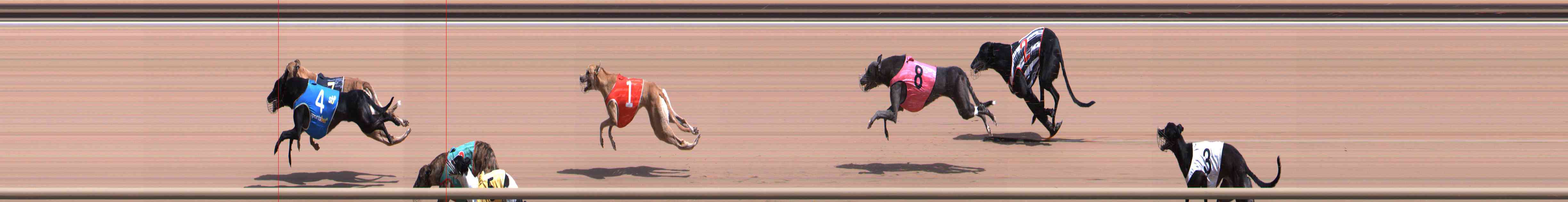 Photo finish for Healesville Race 6