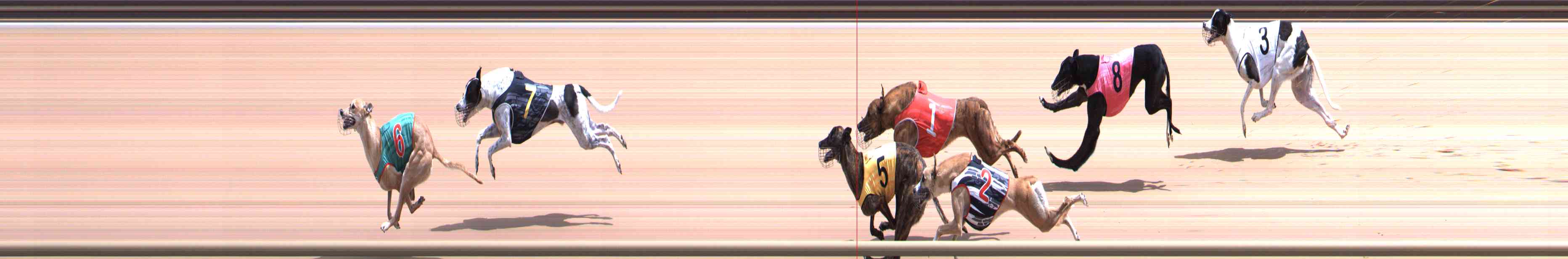 Photo finish for Healesville Race 9