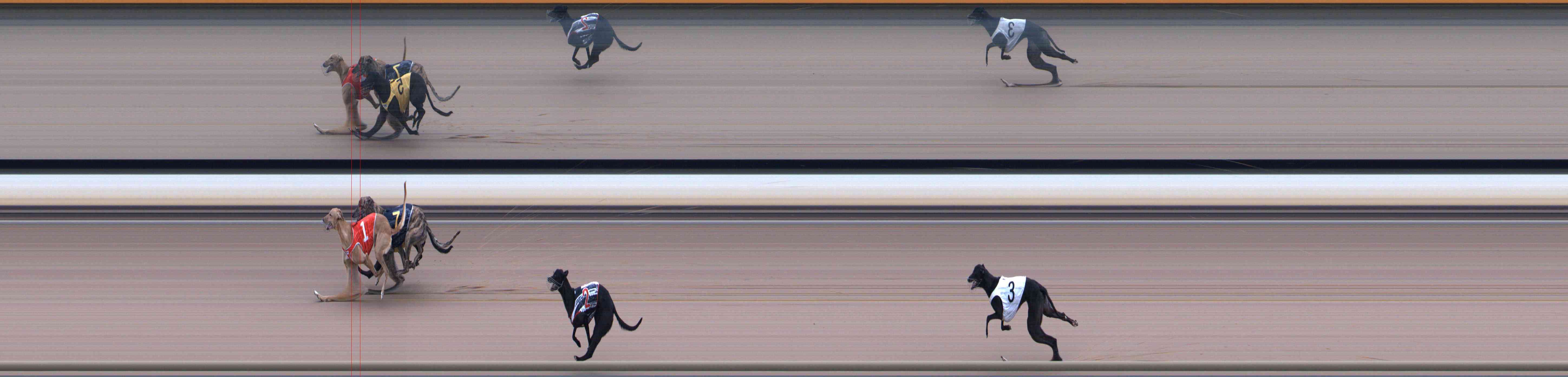 Photo finish for Healesville Race 11