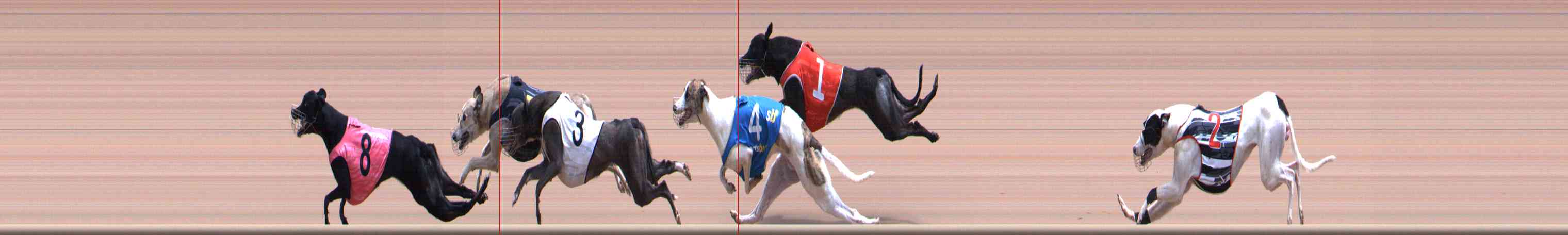 Photo finish for Healesville Race 12
