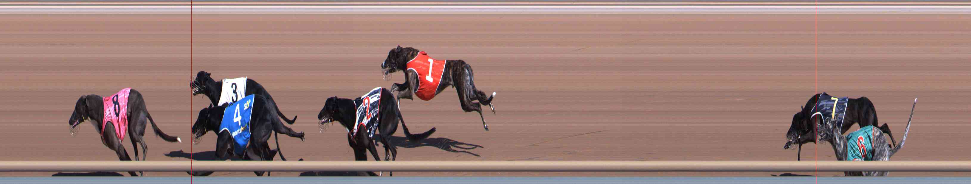 Photo finish for Healesville Race 2