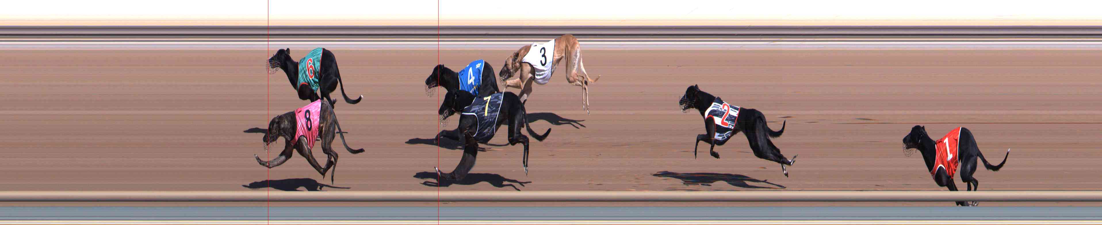 Photo finish for Healesville Race 3