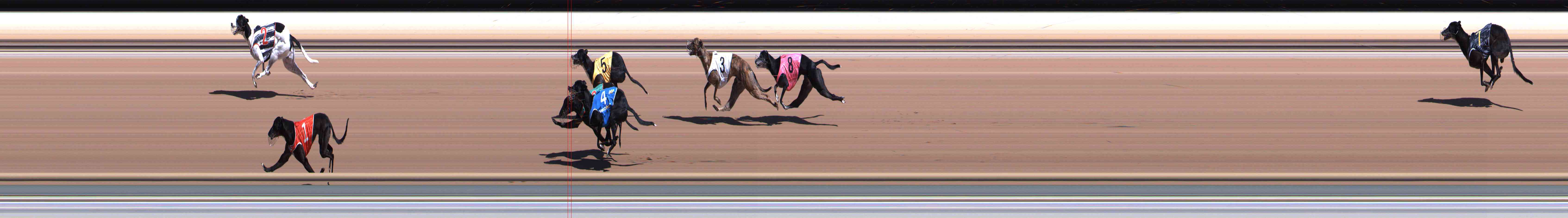 Photo finish for Healesville Race 5