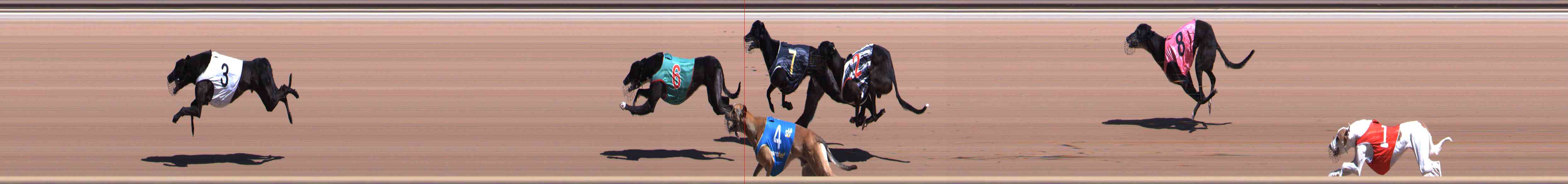 Photo finish for Healesville Race 6