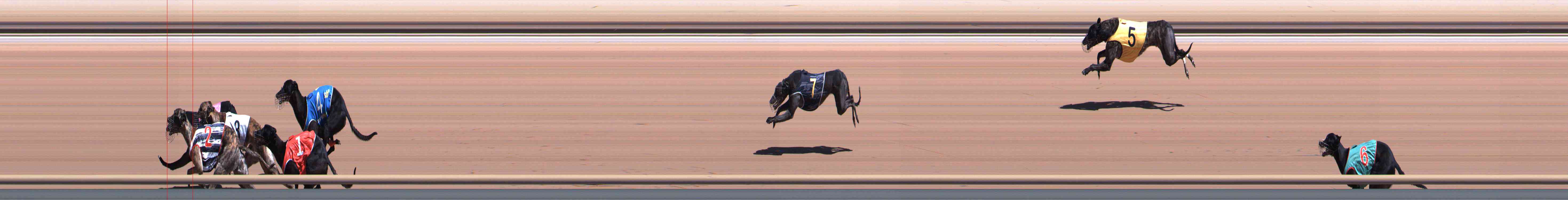 Photo finish for Healesville Race 7