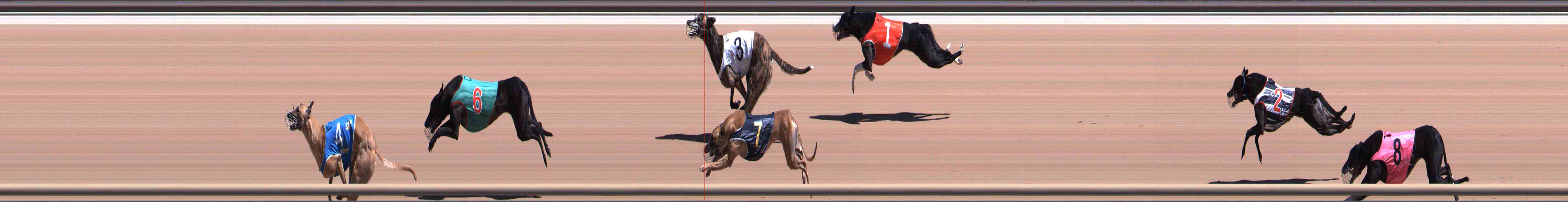 Photo finish for Healesville Race 8