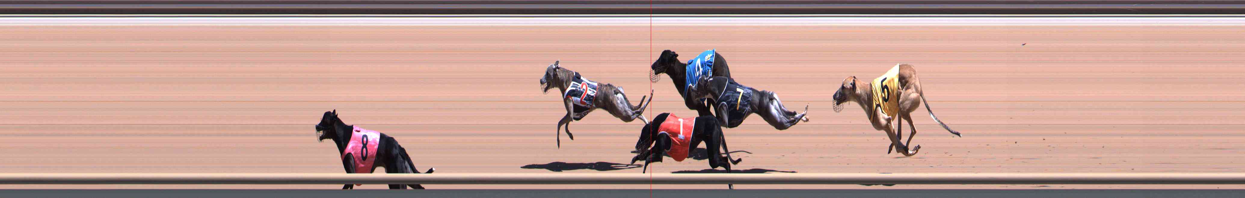 Photo finish for Healesville Race 9
