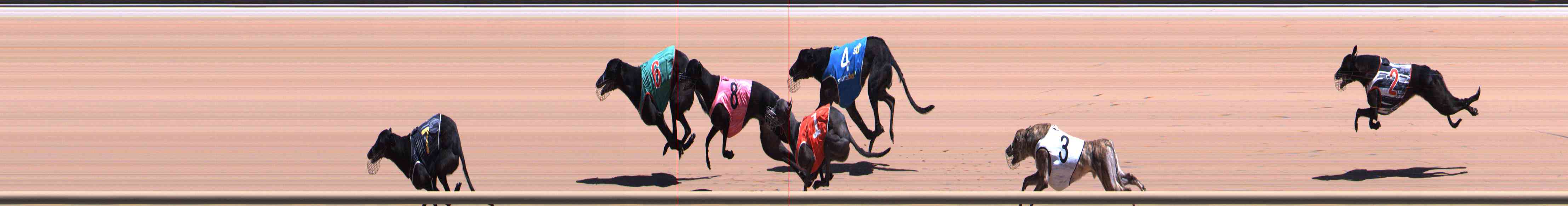Photo finish for Healesville Race 10