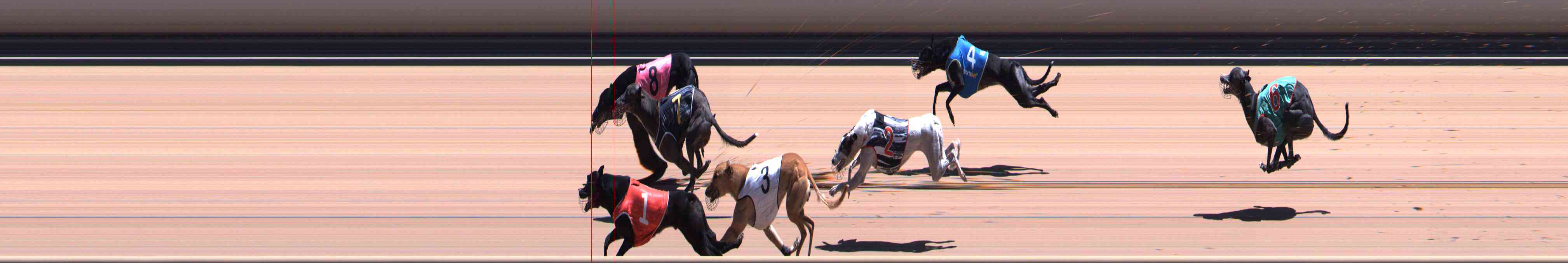Photo finish for Healesville Race 12