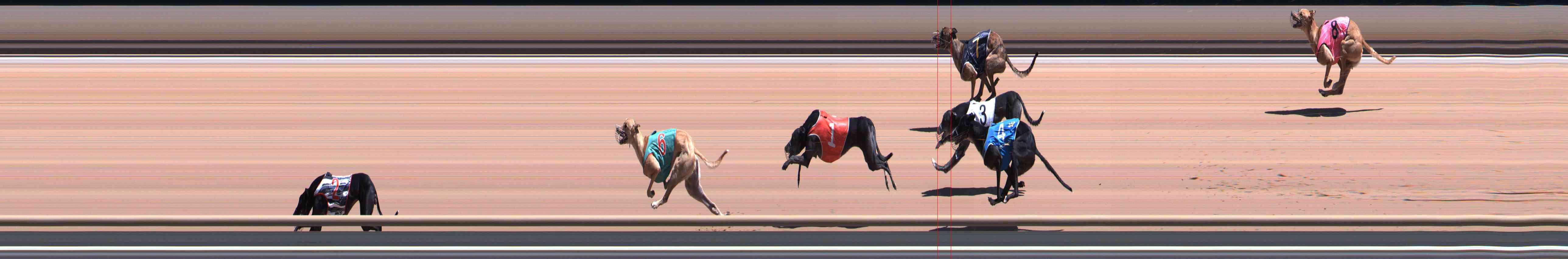 Photo finish for Healesville Race 6