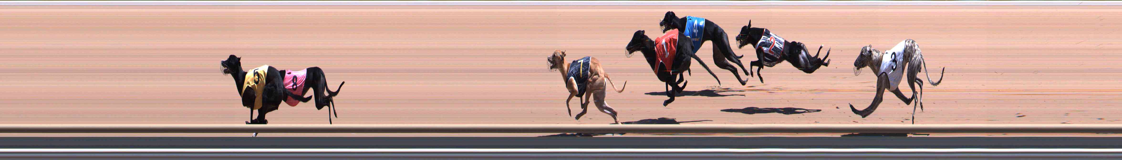 Photo finish for Healesville Race 7