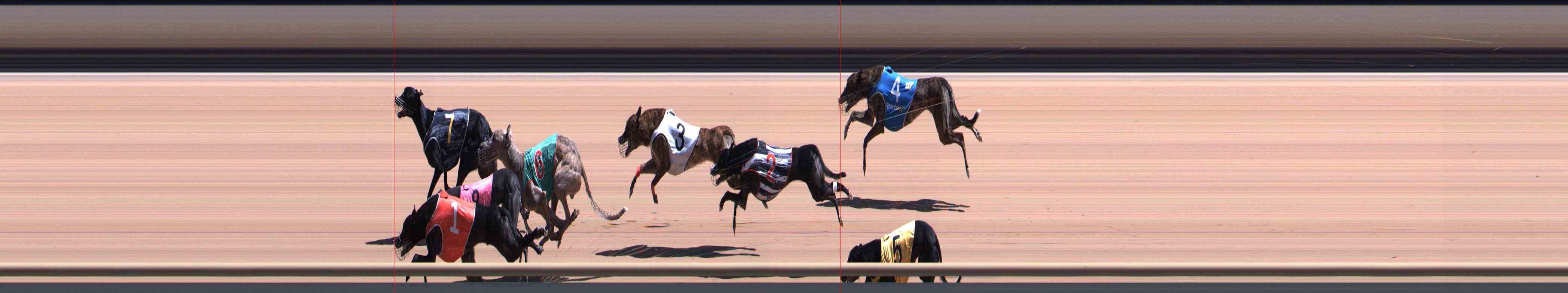 Photo finish for Healesville Race 8