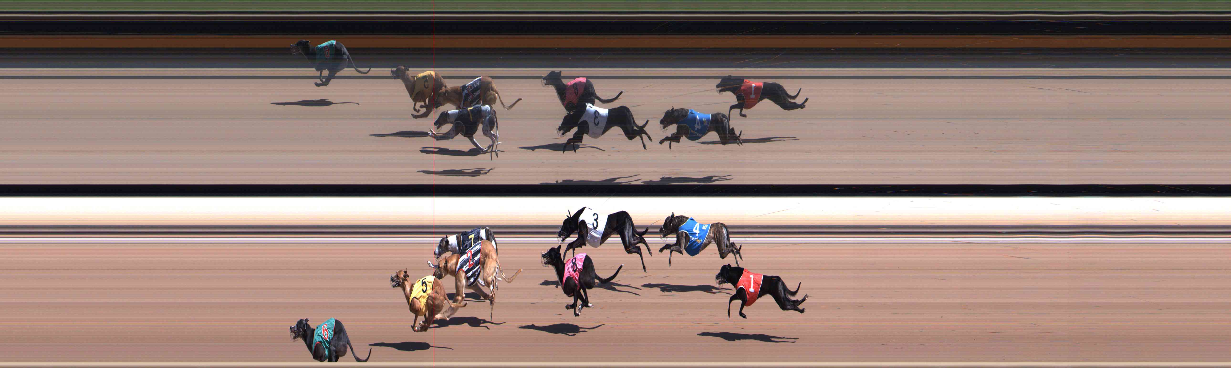 Photo finish for Healesville Race 2