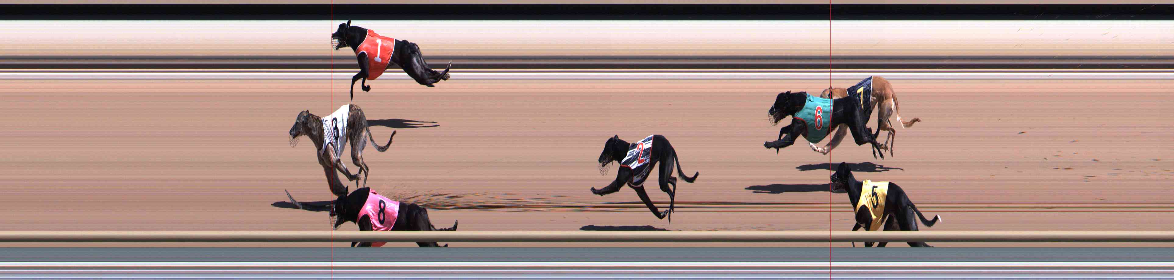 Photo finish for Healesville Race 3