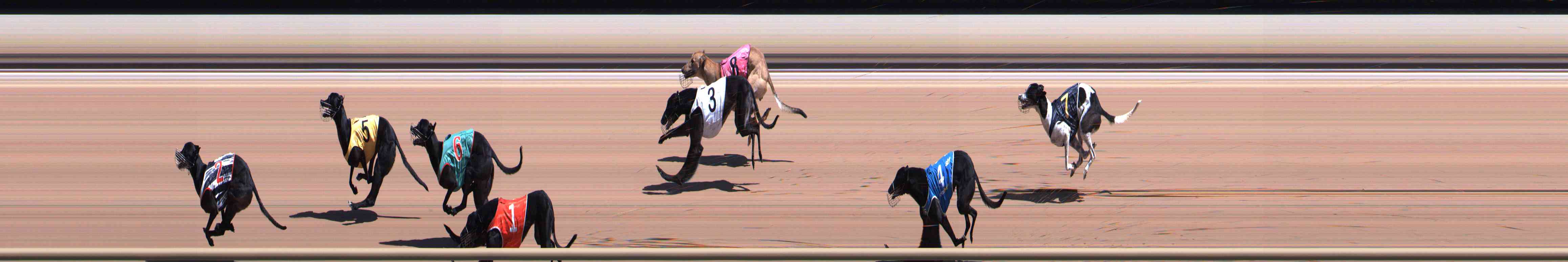 Photo finish for Healesville Race 4