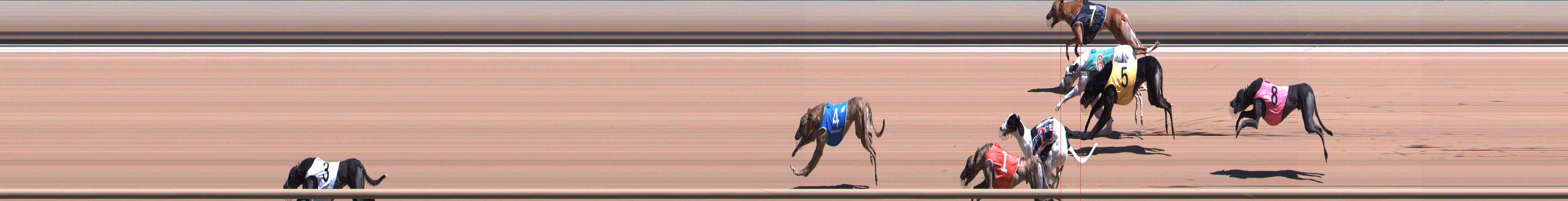Photo finish for Healesville Race 5