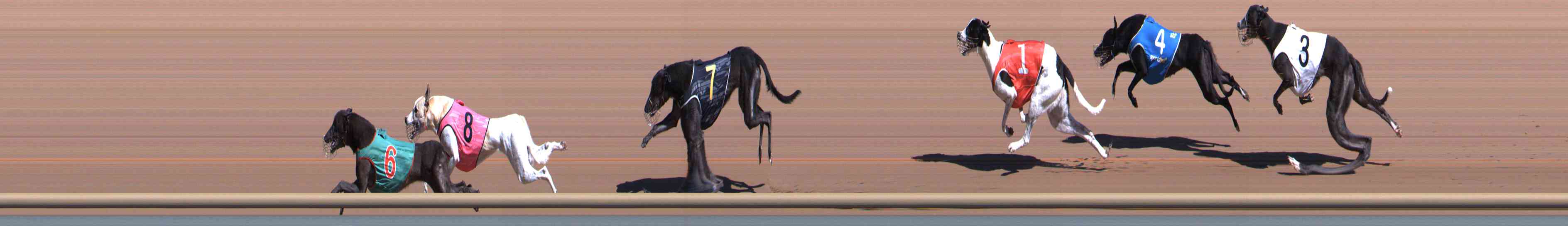 Photo finish for Healesville Race 3