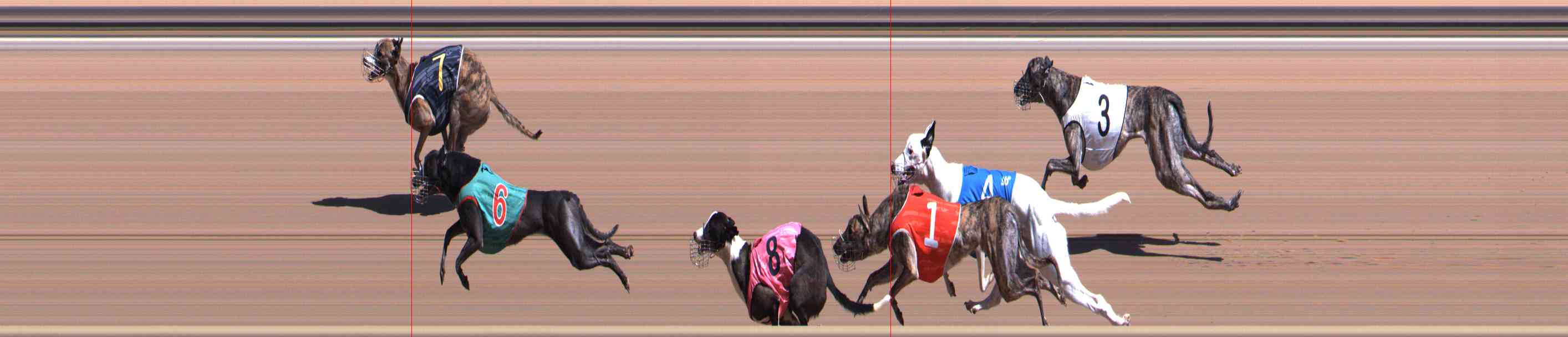 Photo finish for Healesville Race 4