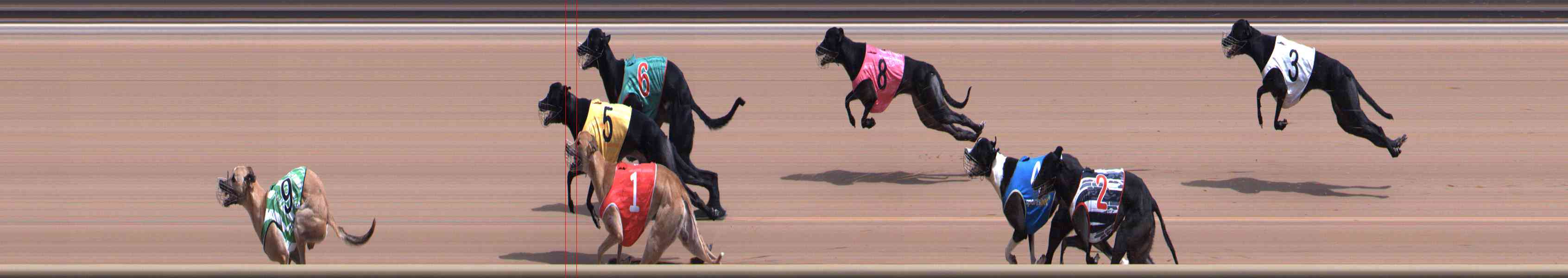 Photo finish for Healesville Race 6