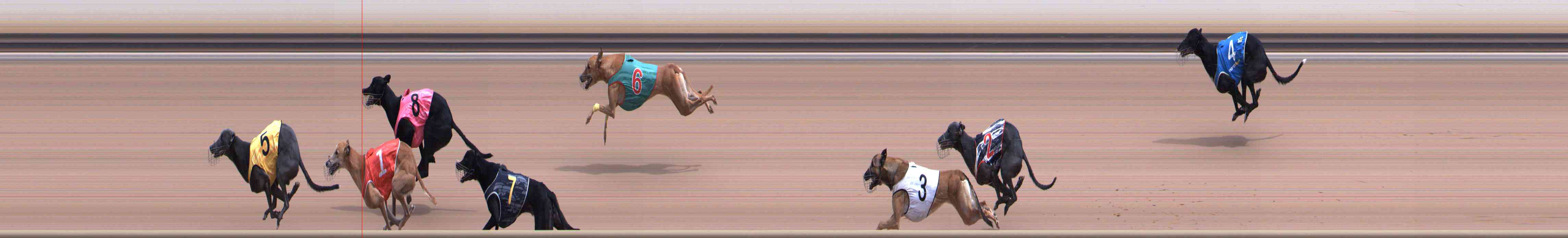 Photo finish for Healesville Race 7