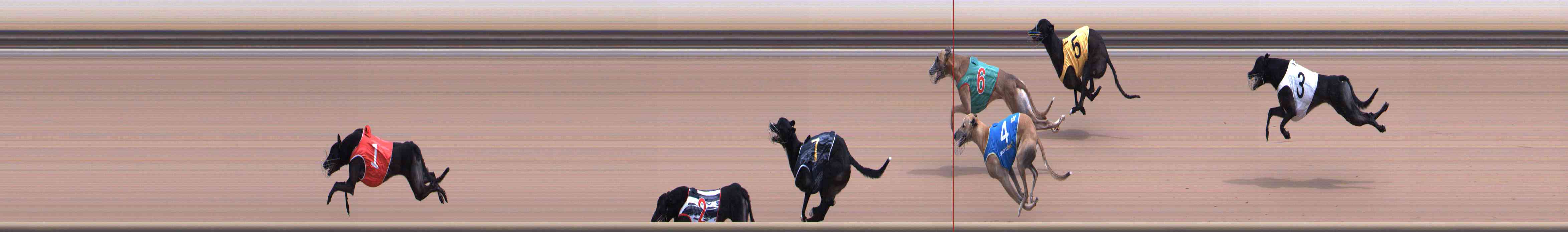Photo finish for Healesville Race 8