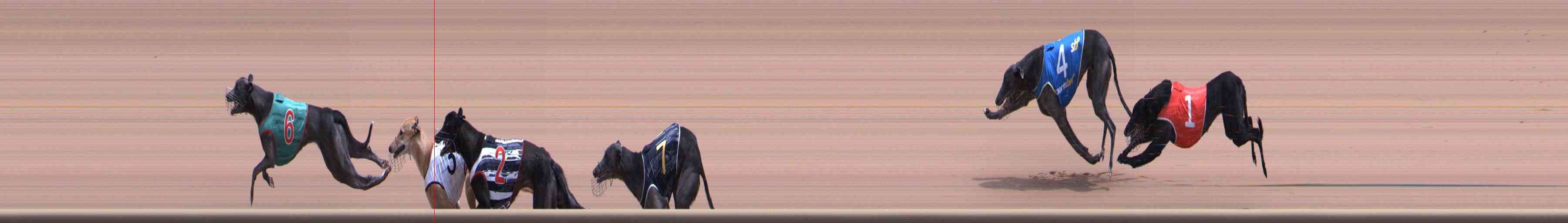 Photo finish for Healesville Race 10