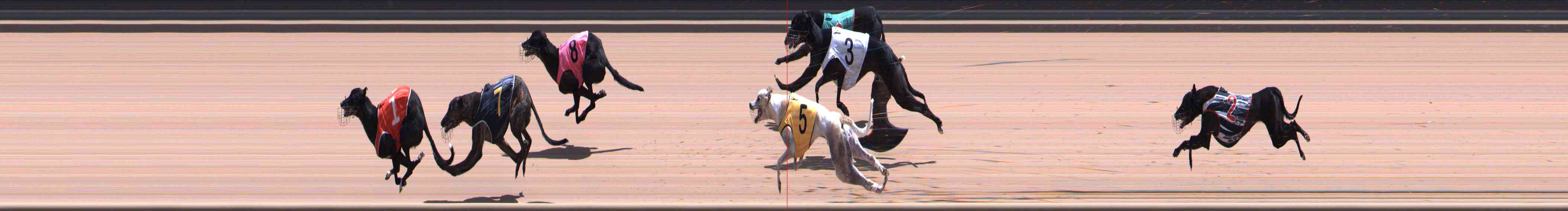 Photo finish for Healesville Race 12