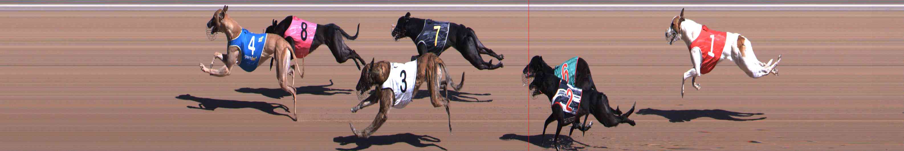 Photo finish for Healesville Race 2
