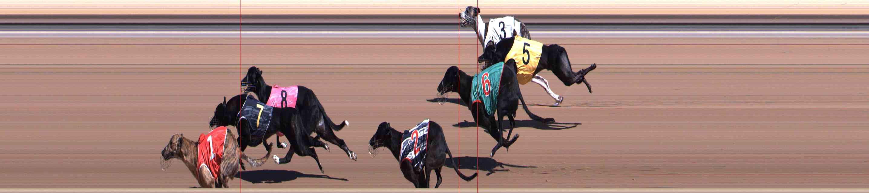 Photo finish for Healesville Race 3